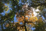 05-2017_10_Traildorado_ht_iphone-044.JPG