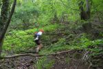 TrailDorado053.jpg
