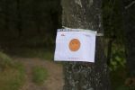 TrailDorado_2013_161.jpg