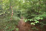 TrailDorado_2014HH_277.JPG