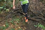 TrailDorado_2014HH_324.JPG