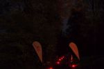 TrailDorado_2014MBU_391.JPG